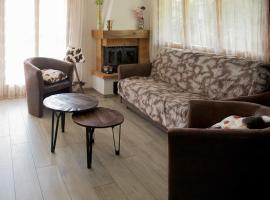 Appartement 3 pièces à Anzère，位于安塞热的酒店