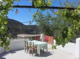 Casa Violeta