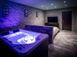 VIP 1 Loft avec spa privatif à 10 min de Dijon，位于Fauverney的酒店