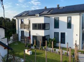 Villa Boris，位于Star&scaron;e的自助式住宿