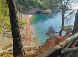 Villetta Danila Pugnochiuso Le Macine，位于维耶斯泰的酒店