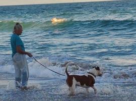 All Pets Welcome, Across From Beach, Tiki Hut，位于詹森比奇的酒店