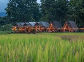 Paddy Fields Haven - Natures Nest