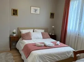 Maison Grand Paris avec jardin et parking privé proche RER B et M14