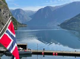 Svingen Guesthouse - Panoramic Fjord Views in Flåm，位于弗洛姆的酒店