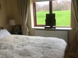 Private Room in Apartment beside Druids Glen Hotel