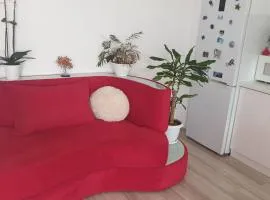 Radmy house