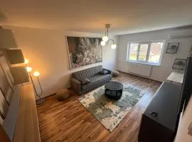 Apartament Anya Calimanesti