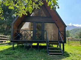 Forest view kazbegi，位于Sioni的山林小屋