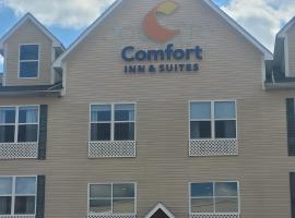 Comfort Inn & Suites，位于多森的酒店