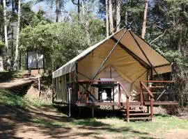 Creek Glamping Tent