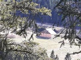 Domaine Des Hauts Viaux，位于拉布雷斯的酒店