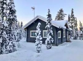 Arctic Home Experience