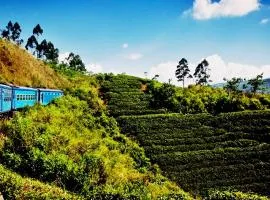 Cinnamon Citrus Residency Bandarawela