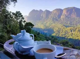 Camellia Mountain Villa