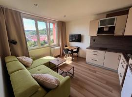 Apartmán Šumava，位于苏希采的酒店