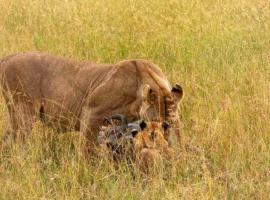 Kalunguyeye Safaris，位于Sokon的露营地