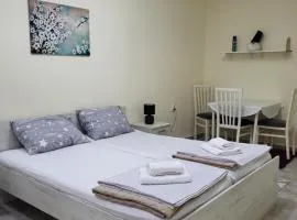 Apartman Vukmirovic