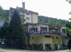 Hotel Resava，位于代斯波托瓦茨的酒店