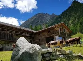 Incantevole appartamento in Rascard VDA AYAS 0139