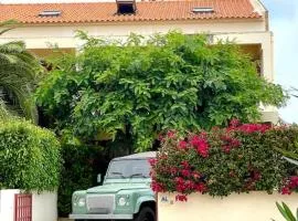 Casa da Palmeira Porto Santo