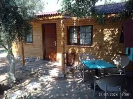Finike Bungalow Orion