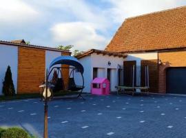 Transilvania Guesthouse，位于锡比乌县米耶尔库雷亚的酒店