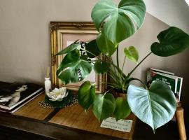 Les Lauriers Duplex centre ville avec jardin，位于尼翁的度假屋