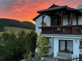 Haus Martina Panoramablick，位于Lutter的酒店