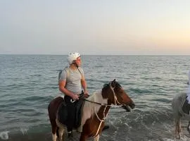 rodeo horse club