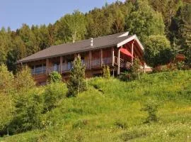 Modernes Chalet - Blue Merle