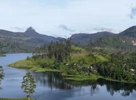 Pekoe Lodge