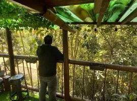 Boresta House -Santa Elena con vista al Bosque y terraza privada