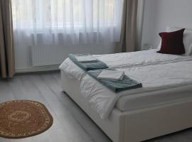 Apartament Antonia&Alex，位于Brad的酒店