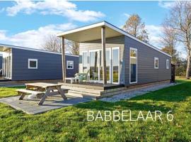 Chalet Babbelaar 6 - premium locatie，位于劳雷尔苏格的木屋