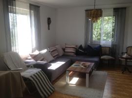 Spacious apartment near Linz, Wels & Marchtrenk，位于Buchkirchen的酒店