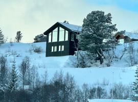 Hytta Haukelifjell Skisenter，位于Vågsli的酒店