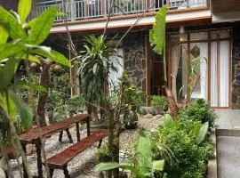 Viet Anh Mai Chau Homestay