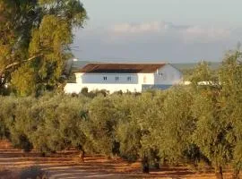Luxury accomodation off grid