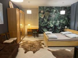 Muller's Residenz - Self Check in，位于茨维考的酒店