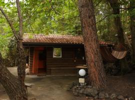 Etna Rural Cottage with Jacuzzi，位于佩达拉的木屋