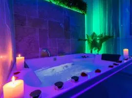 Vegetal SPA - Relax et Cocooning - Maison de ville Tours - Proche gare