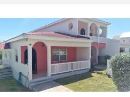 Halfmoon Bay Pink Butterfly