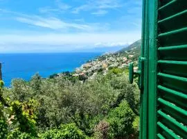 Il sogno del capitano