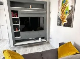 Elegant Penthouse in St Julians STJ28
