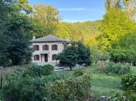 The Cottage in the Trees