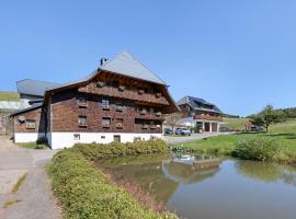 Kapellenhof Ferienwohnungen，位于特里贝格的酒店