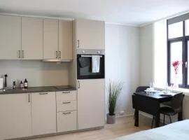 One-bedroom apartment close to NTNU and St Olavs