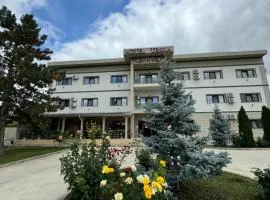 Hotel Terra Iasi