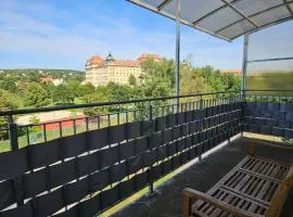 Holiday Home Apartment Znojmo